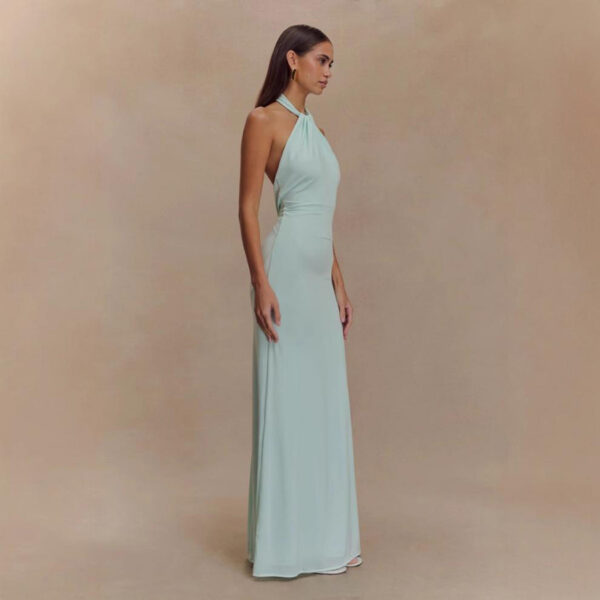Ins Bodycon Halter Dress Sexy Backless Slim Fit Waist Slimming Maxi Dresses Prom Party Club Clothing For Women - Image 4